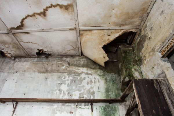 Cost of Water Damage Service in Providence