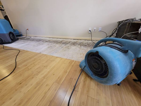 Cost of Water Damage Mitigation in Providence
