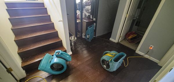 Cost of Water Damage Remediation in Providence