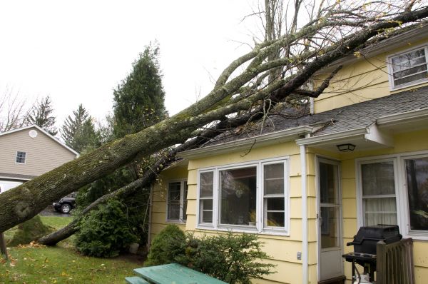Hurricane Damage Repair in Providence